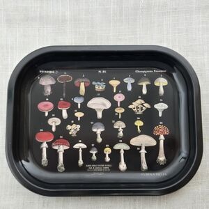 Curious Prints Metal Tray Vintage Scientific Mushroom Design - 5 x 7"- Like New